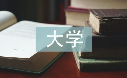 大学生前锋的职业发展规划_2